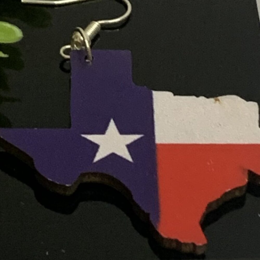 Texas Earrings, God Bless Texas, Gift Idea, State Earrings, Silly Earrings, TX
